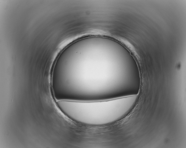 X0000090781335200707201127