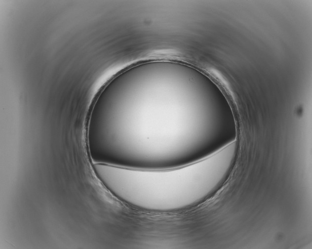 X0000090781336200707201127