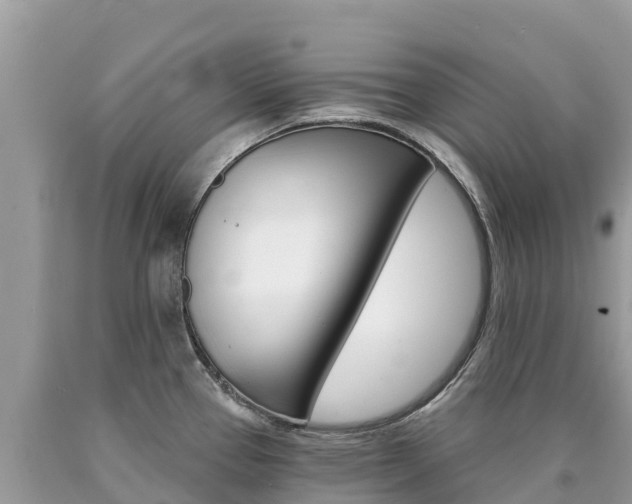 X0000090781337200707201127