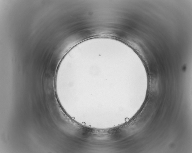 X0000090781338200707201127