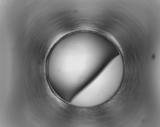 X0000090781339200707201127