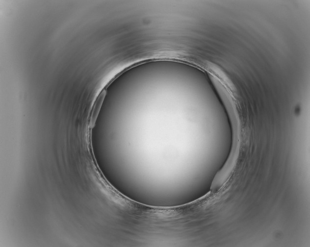 X0000090781340200707201127