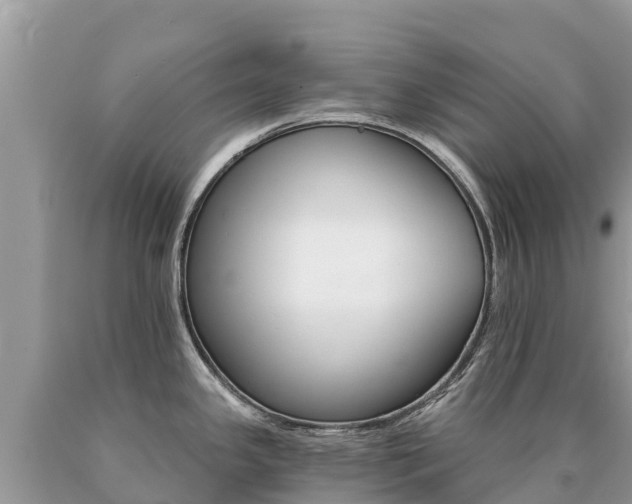 X0000090781341200707201127