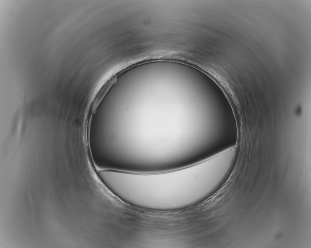 X0000090781342200707201127