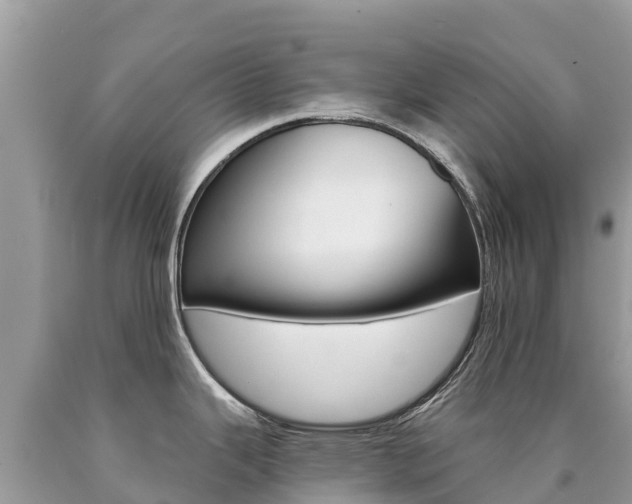 X0000090781343200707201127