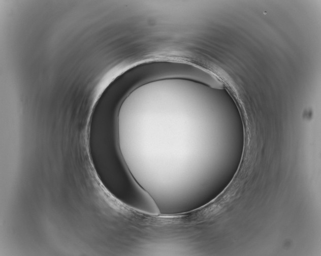 X0000090781344200707201127