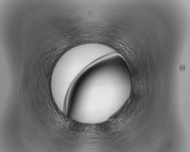 X0000090781345200707201126