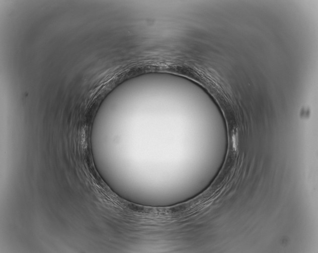 X0000090781347200707201126