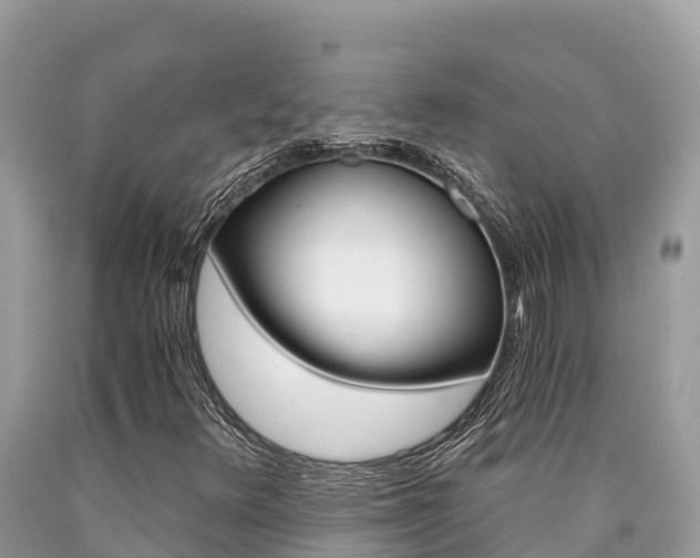 X0000090781348200707201126