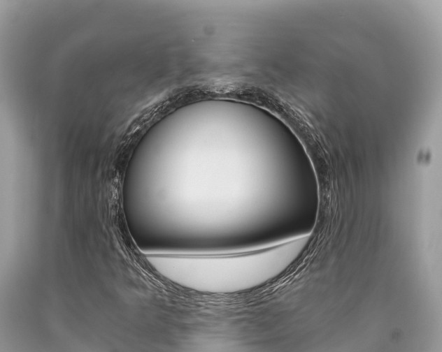 X0000090781349200707201126