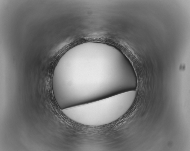 X0000090781350200707201126