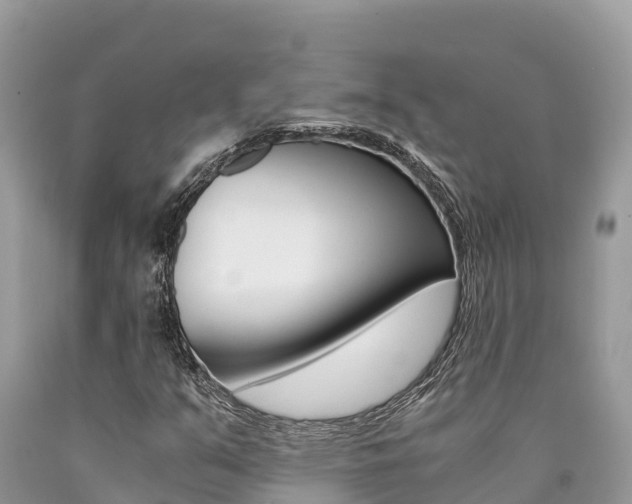 X0000090781351200707201126
