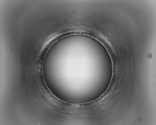 X0000090781352200707201126