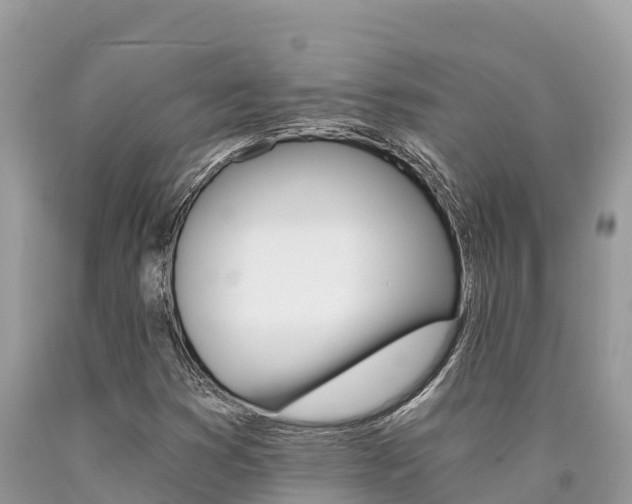 X0000090781353200707201126