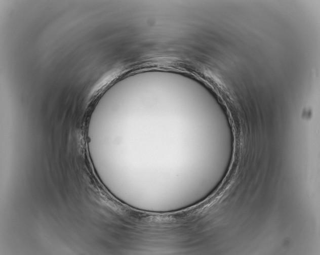 X0000090781354200707201126