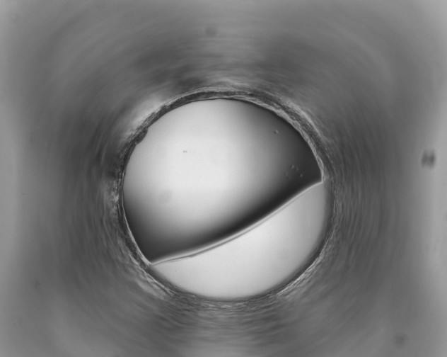 X0000090781355200707201126