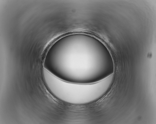 X0000090781356200707201126