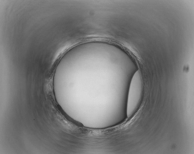 X0000090781357200707201126