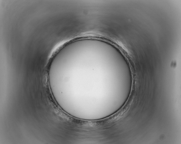 X0000090781358200707201126