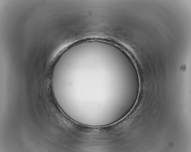 X0000090781359200707201126