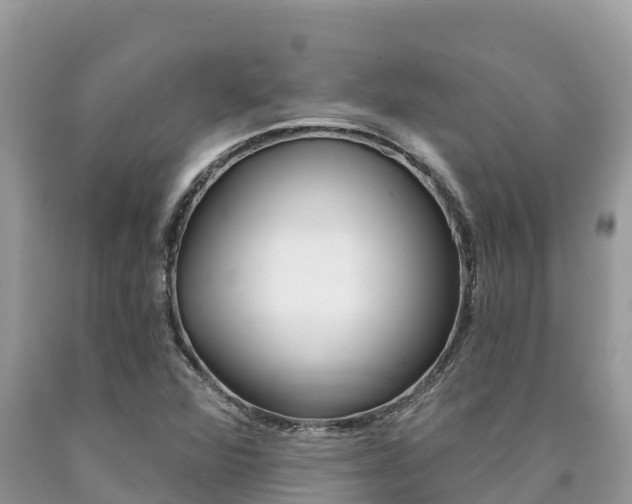 X0000090781360200707201126