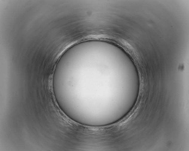 X0000090781361200707201126