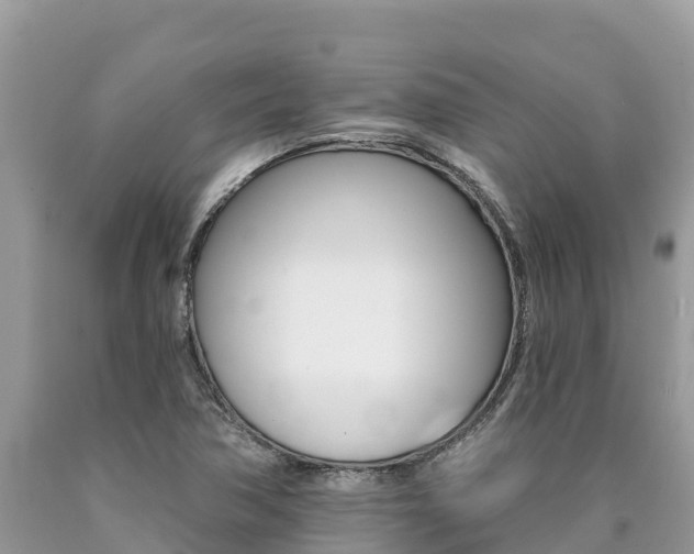 X0000090781362200707201126
