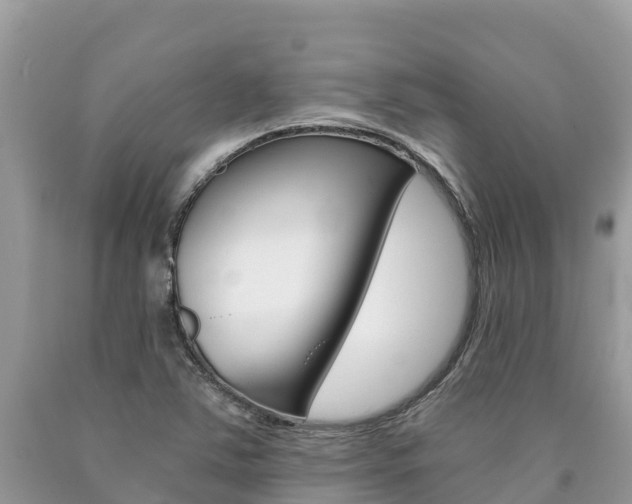 X0000090781363200707201126