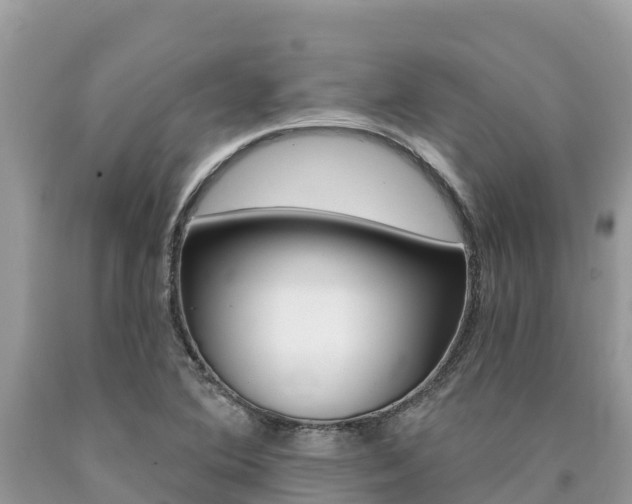 X0000090781364200707201126