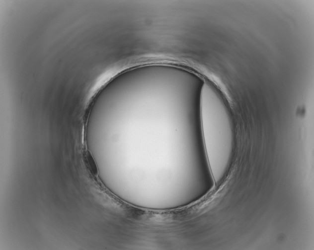 X0000090781365200707201126