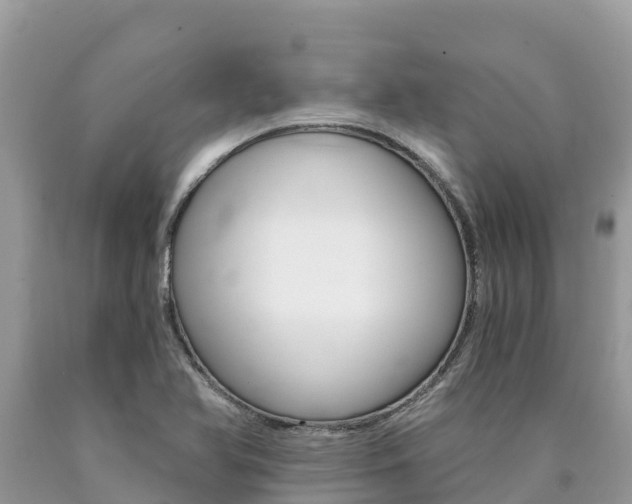 X0000090781366200707201126