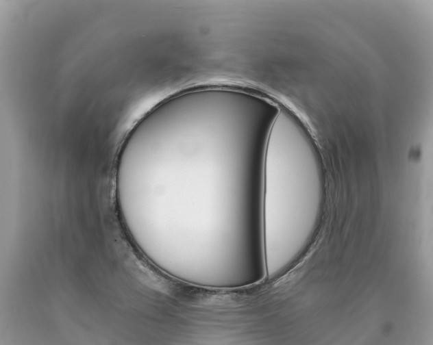 X0000090781367200707201126