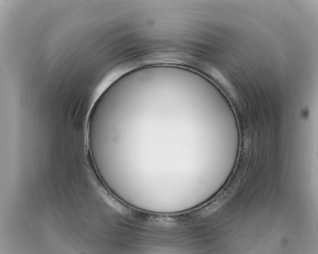 X0000090781370200707201126