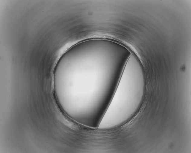 X0000090781371200707201126