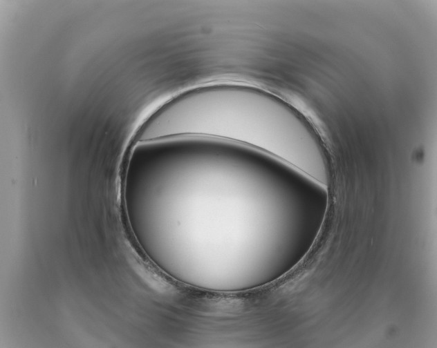 X0000090781372200707201126