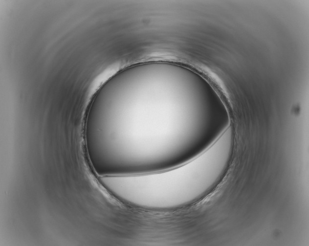 X0000090781373200707201126