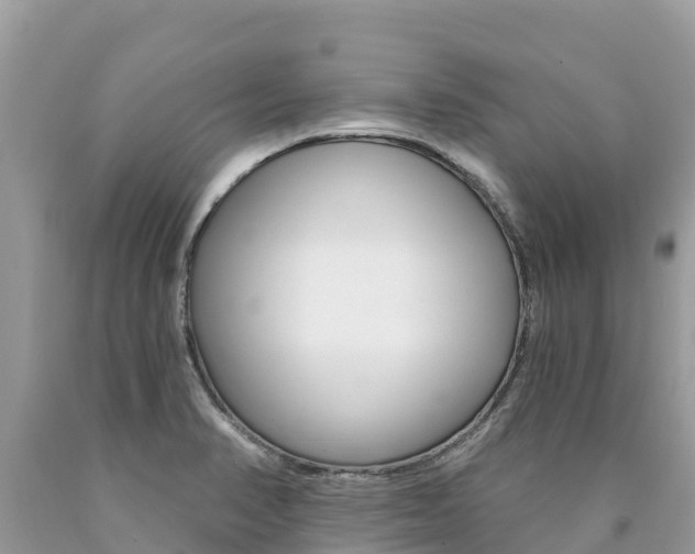 X0000090781374200707201126