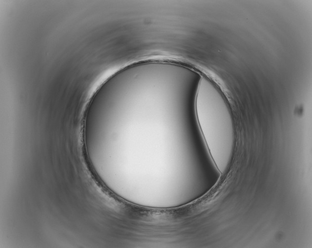 X0000090781375200707201126