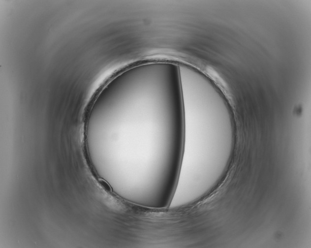 X0000090781376200707201126