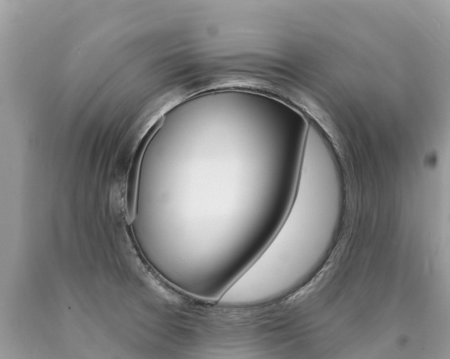 X0000090781377200707201126