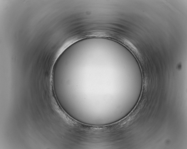 X0000090781378200707201126