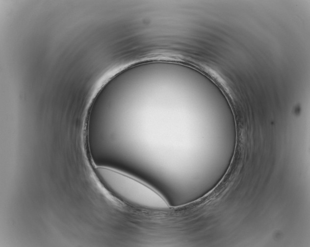 X0000090781379200707201126