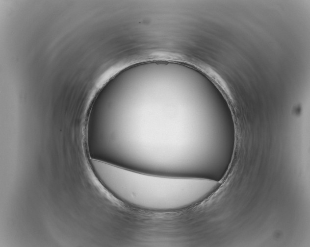X0000090781381200707201126