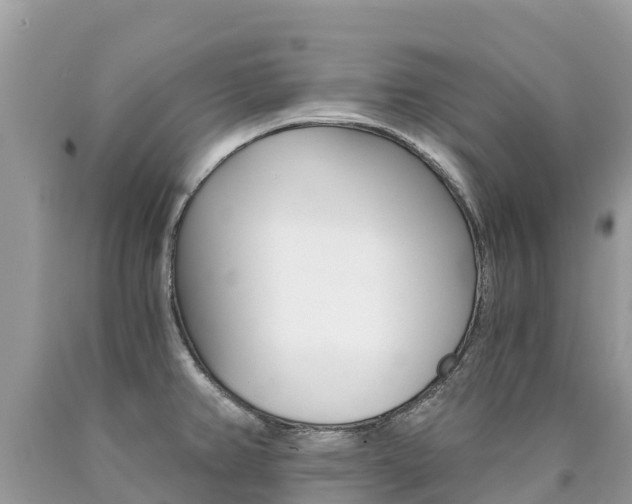 X0000090781382200707201126