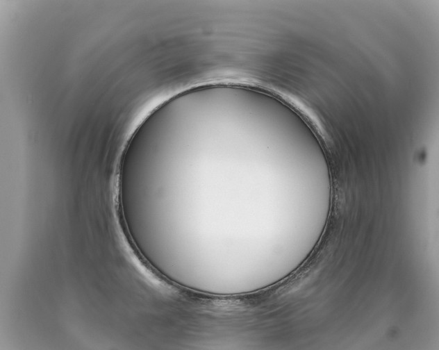 X0000090781383200707201126