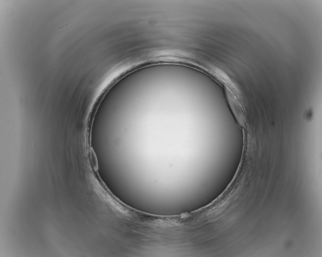 X0000090781384200707201126