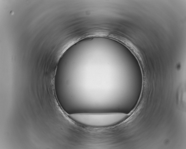 X0000090781385200707201126