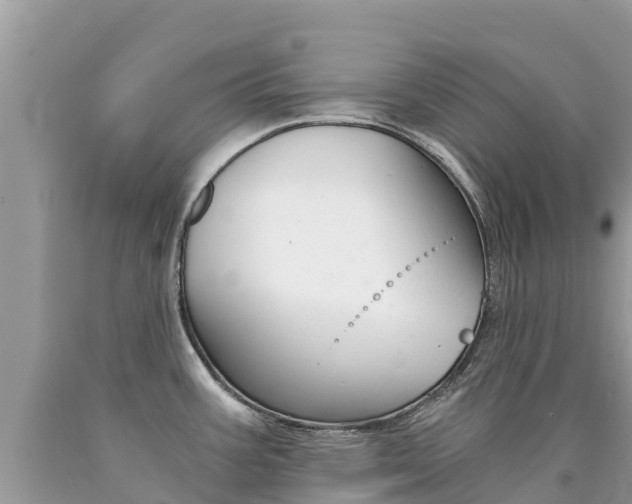 X0000090781387200707201126