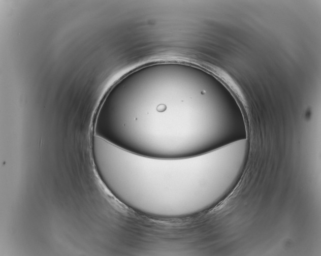 X0000090781388200707201126