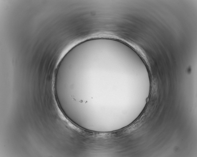 X0000090781390200707201126